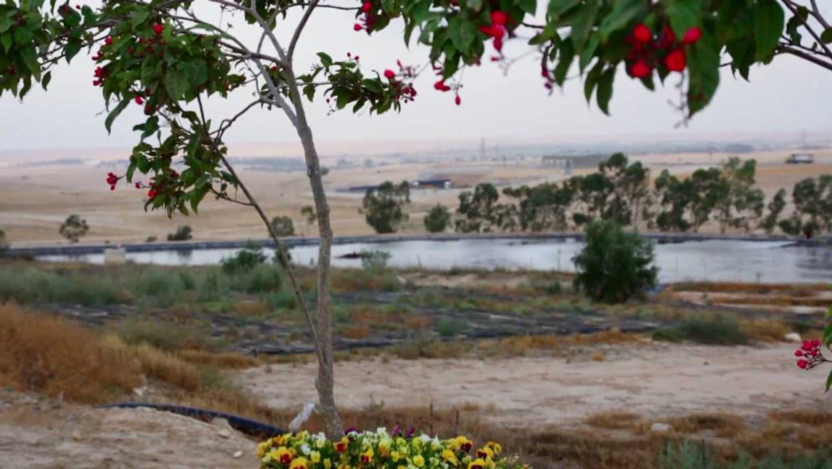 Tu Bishvat Seder