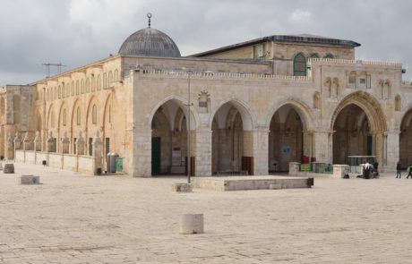 Yaffa Yarkoni: In the Plains of the Negev