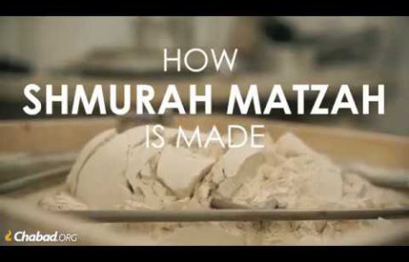 How Shmurah Matzah is Made