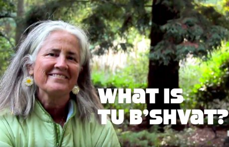 Tu B’Shvat: Celebrating the Spiritual & the Environmental